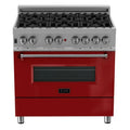 Bruciatore Dual Fuel cucina, Acciaio inossidabile, 36 in., 6 bruciatore, rosso, Acciaio inossidabile Durasnow, Cucine a doppia alimentazione con forno singolo
