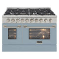 Gamma di gas 8-Burners, Acciaio inossidabile, Gas naturale, 48 in., 6, 7 cu. ft, Pro-Style, Blu, 6.7 cu. ft