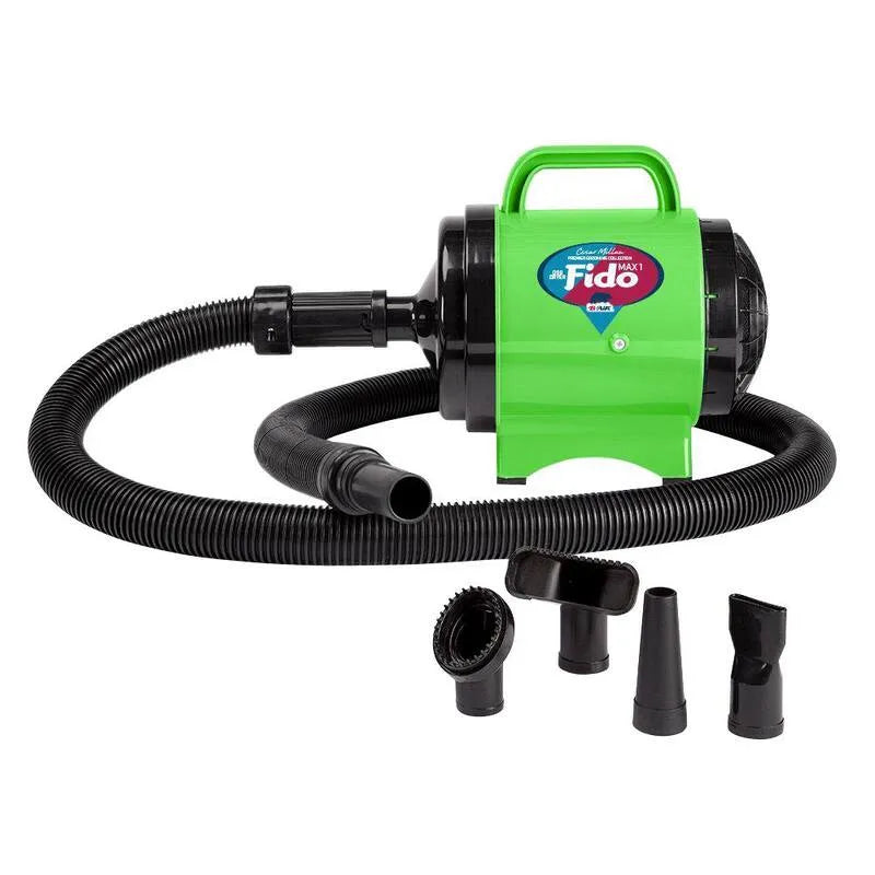 Pet Grooming Dog asciugatrice, 2 HP, Lime Green, Cesar