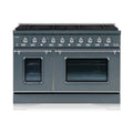 Bruciatori Doppio Forno Doppio Carburante 48-in, 8-Burners, in Blu/grigio con Trim Cromo, CLASSICO