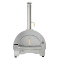 Forno per pizza all'aperto a gas e legno, acciaio inossidabile