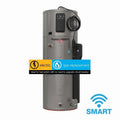 Pompa di calore intelligente Rheem 120-Volt, 50 Gal, shutoff automatico, 10