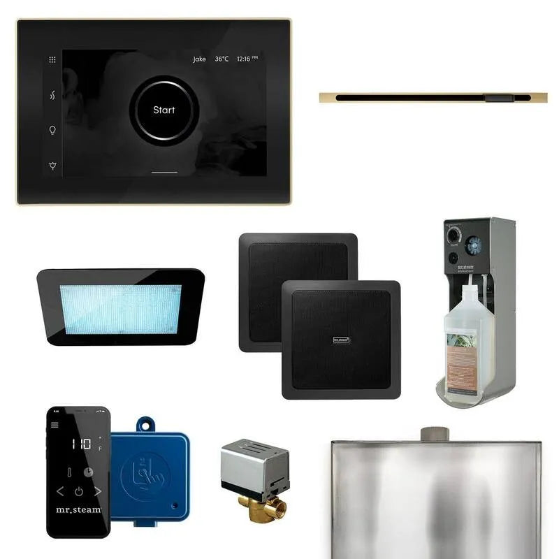 Kit di controllo del generatore di vapore programmabile lineare, Brewing programmabile, XDream, Nero, Generatori di vapore per doccia